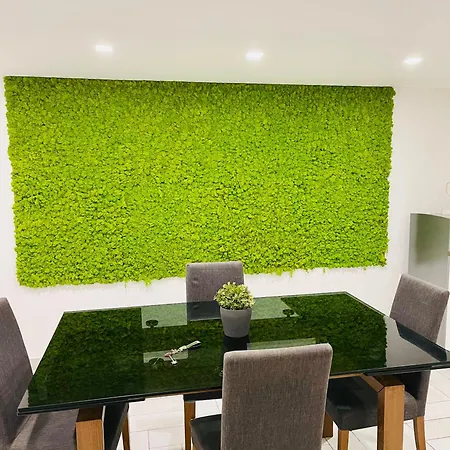 Suite169 باري